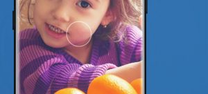 SpandexColorBox_colores-seleccion