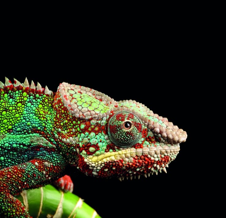 Nuevo-Latfinity-de-Berger-Textiles